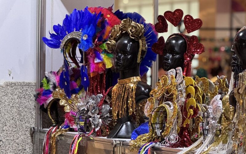 Foliões encontram tudo em um só lugar na Cidade Seu Carnaval