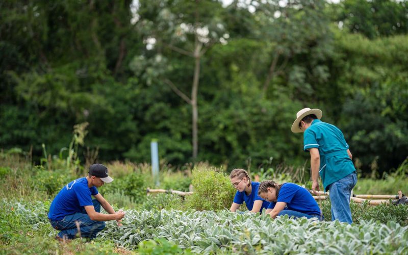 Colégio de Castro alcança lucro milionário com atividades agrícolas educacionais