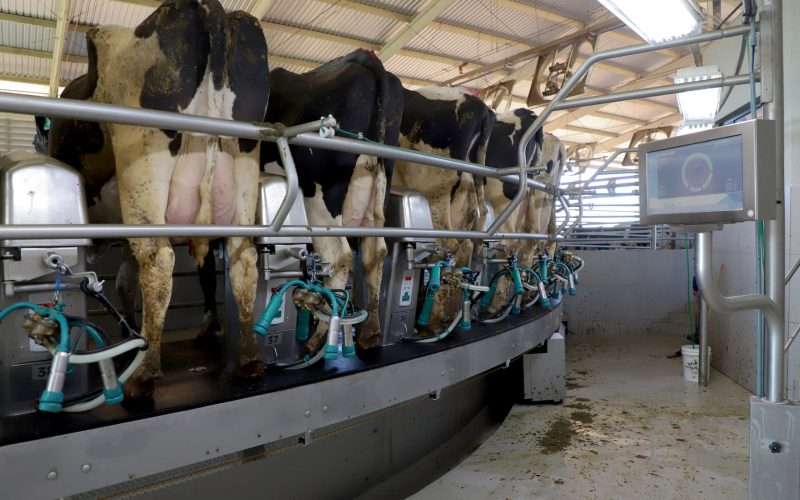 Previsão do Deral indica que preços do leite devem subir no Paraná