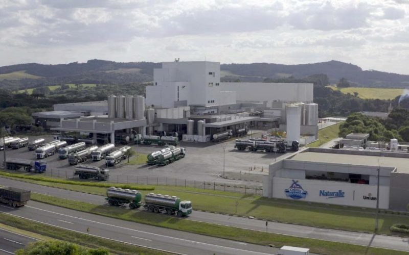 Unium brilha no pódio do ranking nacional de laticínios e destaca potência do agronegócio nos Campos Gerais
