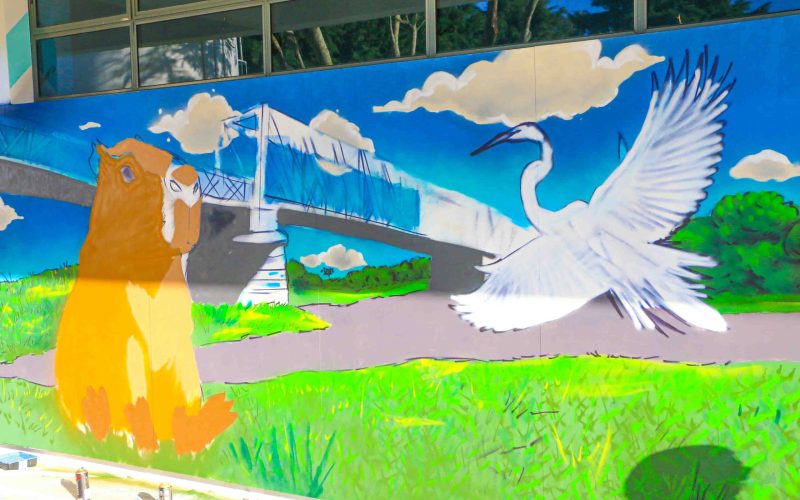 Oficina de Grafite Agita Centro da Juventude em Castro para Estudantes