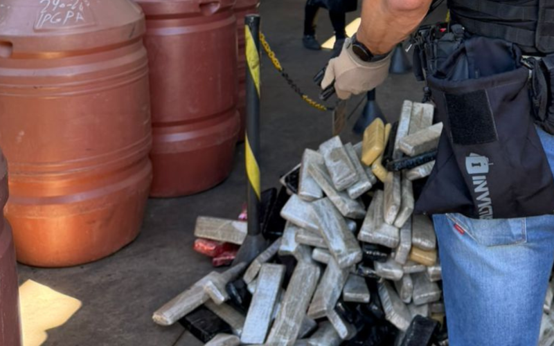 Polícia Civil destrói 639 quilos de entorpecentes em ação em Palmeira