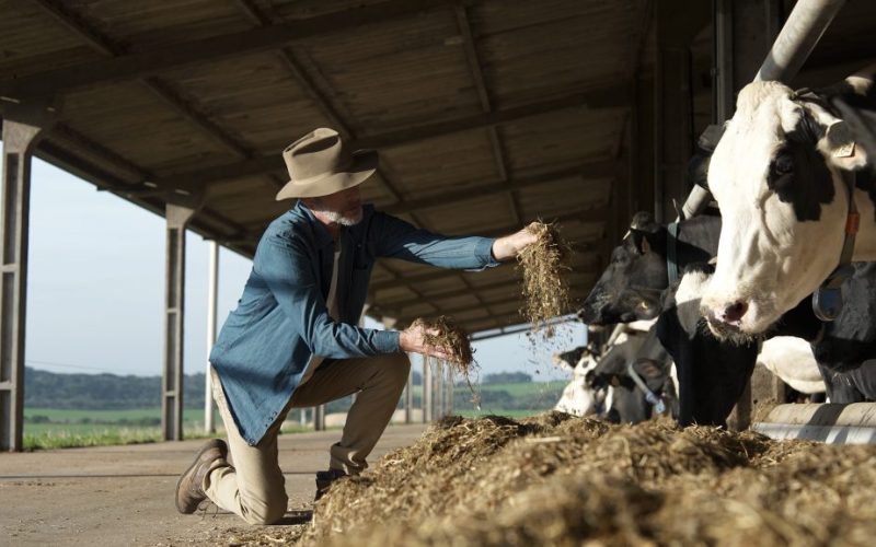 Castrolanda celebra um crescimento extraordinário: produção de leite supera 536 milhões de litros em dez anos