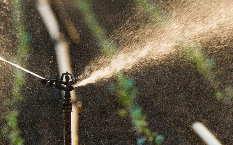 Estado amplia isenção de ICMS para produtos agrícolas a pedido do Sistema FAEP