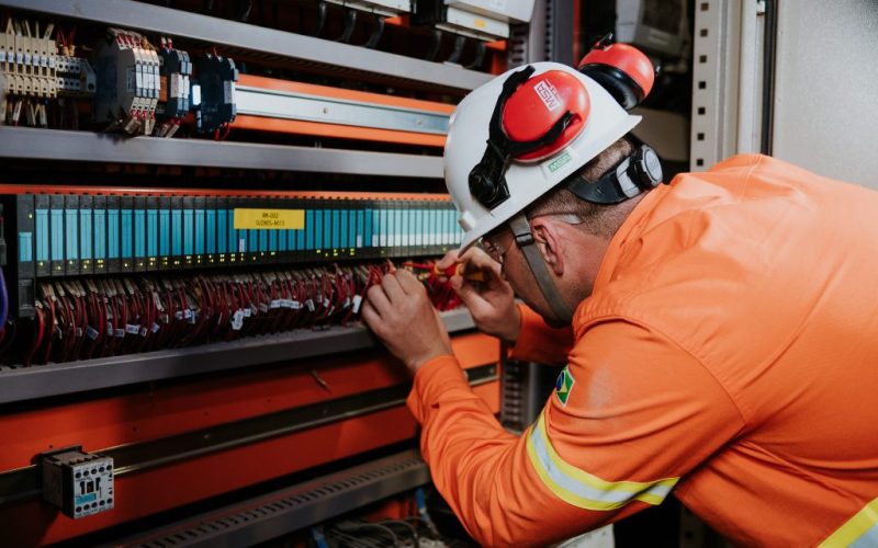 Castrolanda registra ganhos superiores a R$ 35 milhões com iniciativas de eficiência operacional