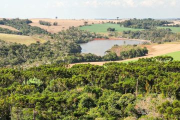 Câmara dá luz verde a proposta que proíbe embargos baseados em imagens de satélite, com respaldo do Sistema FAEP