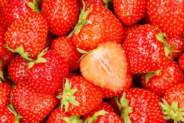 Cultivadores de morango de Campo Largo almejam certificação com apoio da ATeG