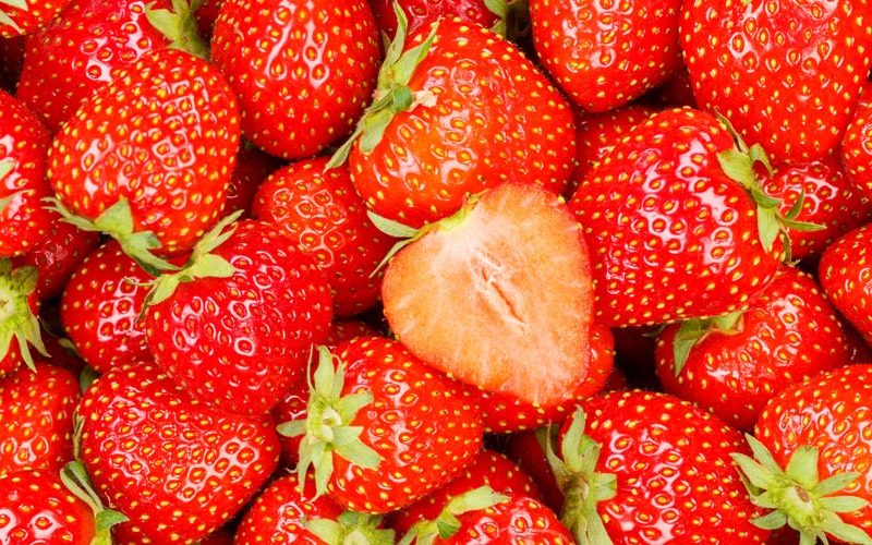 Cultivadores de morango de Campo Largo almejam certificação com apoio da ATeG
