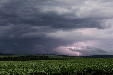 FAEP celebra a aprovação de projeto que transforma o seguro agrícola