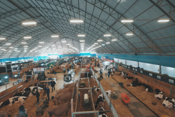 Inscrições para animais das raças Holandesa e Jersey já estão abertas para o Agroleite 2026