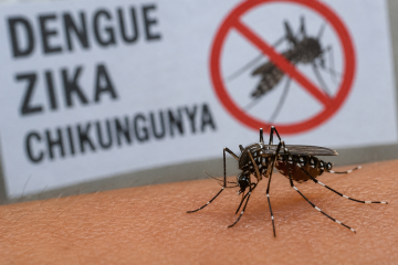 Castro estabelece grupo de trabalho para apurar mortes suspeitas relacionadas à dengue, zika e chikungunya