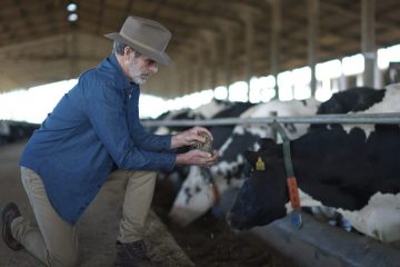 Nutrição Castrolanda combina inovação tecnológica e expertise para impulsionar a produção