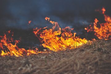 A escassez de chuvas destaca a necessidade urgente de medidas contra incêndios rurais