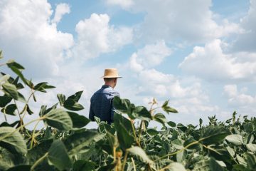 Sistema FAEP garante que a reestruturação de dívidas do agronegócio não impacta a dívida pública.