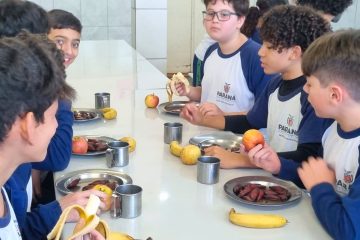 Pinhão ganha destaque nos menus da alimentação escolar da rede estadual