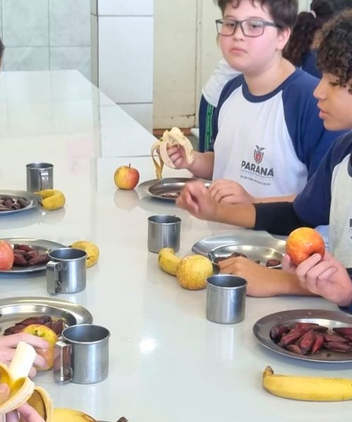 Pinhão ganha destaque nos menus da alimentação escolar da rede estadual