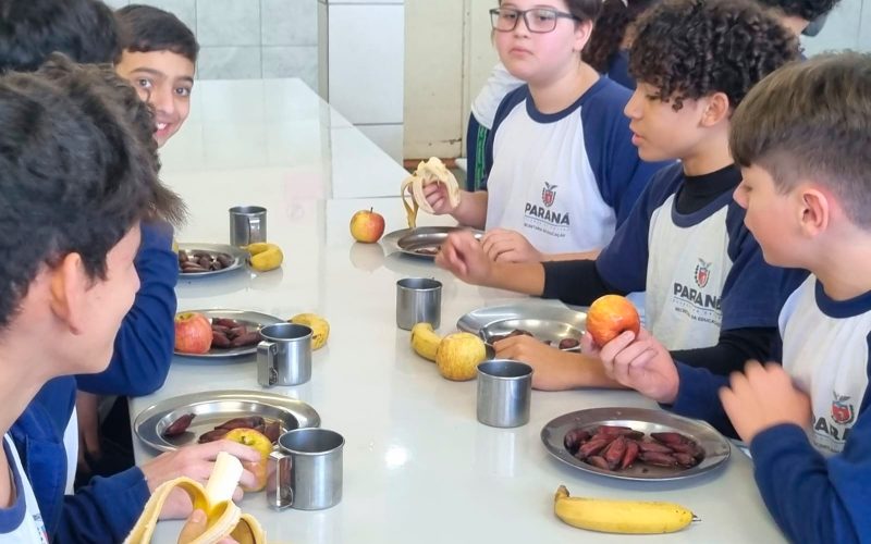 Pinhão ganha destaque nas refeições escolares da rede estadual