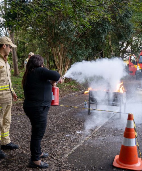 Quase 5 mil educadores passam por capacitação para se tornarem brigadistas