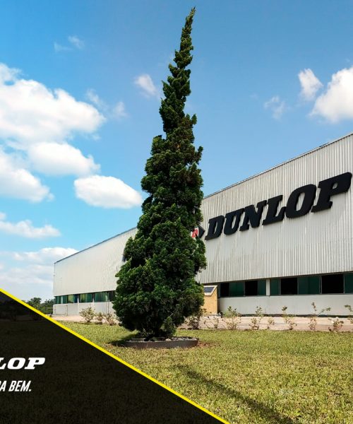 Mês do Meio Ambiente: Dunlop acelera iniciativas sustentáveis e amplia ações de conscientização