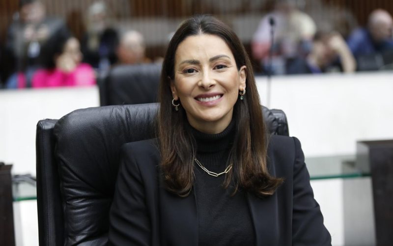 Mabel Canto conquista a aprovação de dois projetos de lei no Paraná