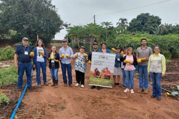 Sindicato Rural do Maranhão adota estratégia de mobilização inspirada no Paraná