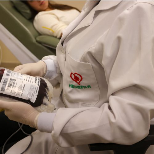 Alerta nos estoques de sangue O- e O+ no Paraná; Hemepar solicita urgência nas doações