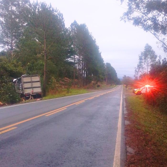 Acidente na PR-340: Caminhão de Piraí do Sul colide com árvore entre Tibagi e Telêmaco Borba
