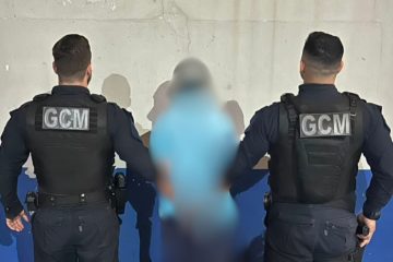 Indivíduo detido em Jaguariaíva por agressão a animal, ameaças a idosa e vandalismo em bens públicos
