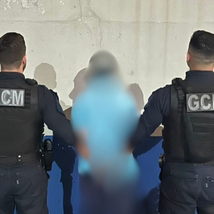 Indivíduo detido em Jaguariaíva por agressão a animal, ameaças a idosa e vandalismo em bens públicos
