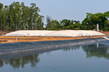 Dia de Campo explora a conversão de resíduos animais em energia sustentável