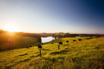 Alterações nas regras de licenciamento ambiental afetam setor agropecuário