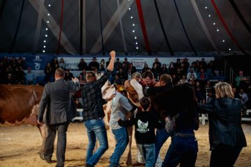 Holandesa Vermelha e Branca brilha como bicampeã nas avaliações do Agroleite 2026