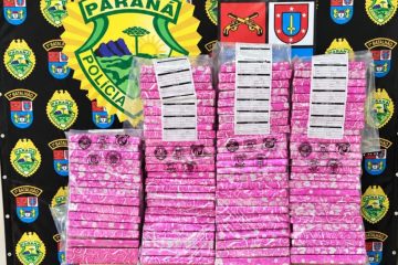 Cão detector descobre quase 74 kg de maconha ocultos em vegetação em Ponta Grossa
