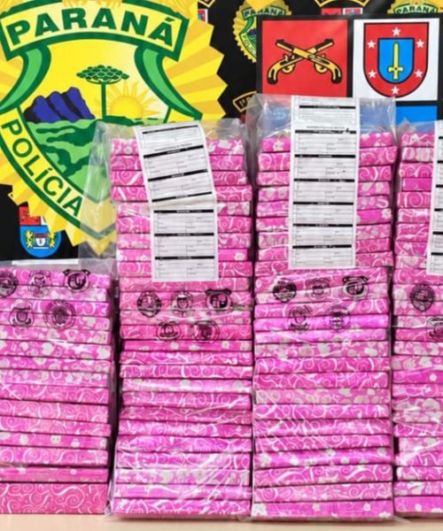 Cão detector descobre quase 74 kg de maconha ocultos em vegetação em Ponta Grossa