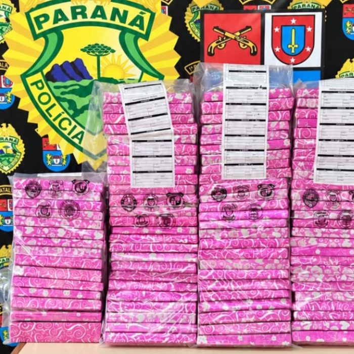 Cão detector descobre quase 74 kg de maconha ocultos em vegetação em Ponta Grossa