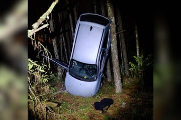 Carro fica ‘em pé’ entre árvores após sair da pista e capotar na PR-092, em Jaguariaíva