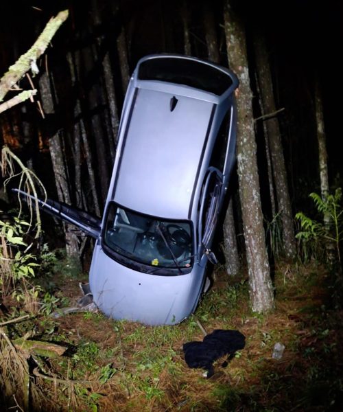 Carro fica ‘em pé’ entre árvores após sair da pista e capotar na PR-092, em Jaguariaíva