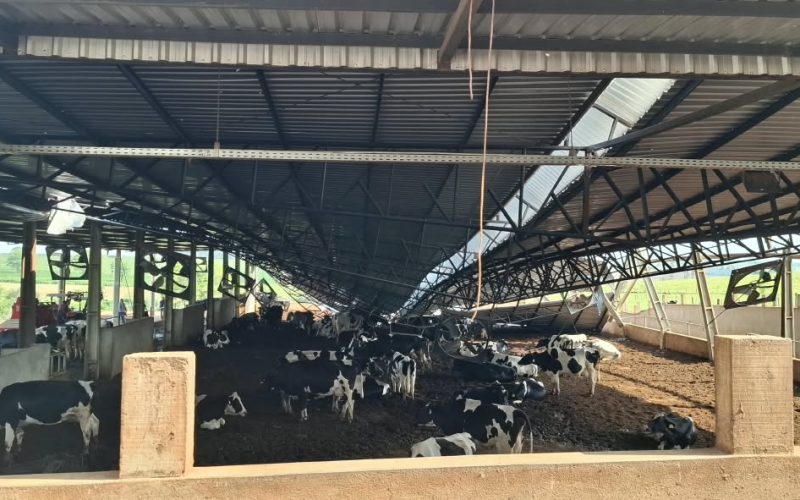 Após tempestade, Sistema FAEP e Nerios solicitam ajuda aos agricultores do Noroeste do Paraná
