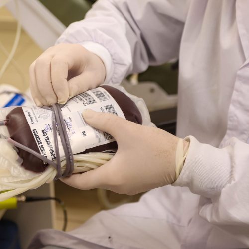 Hemepar destaca a necessidade de doações regulares de sangue