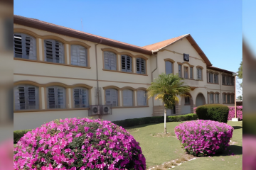 Colégio Meneleu lança curso gratuito de Administração para a comunidade