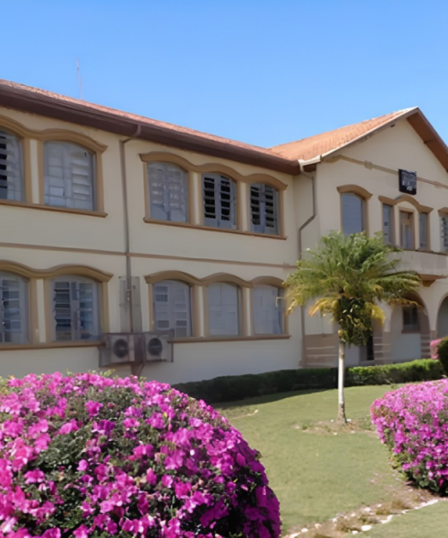Colégio Meneleu lança curso gratuito de Administração para a comunidade