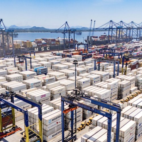 Paranaguá se destaca com 47% das exportações de carne de frango do Brasil em 2026