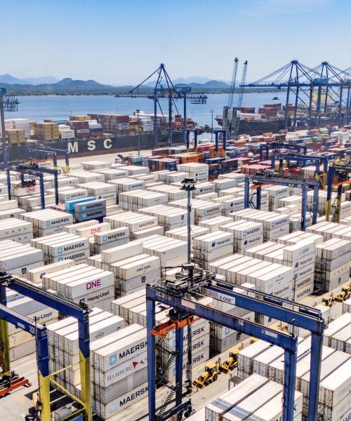 Paranaguá se destaca com 47% das exportações de carne de frango do Brasil em 2026